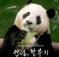 푸바오 영화