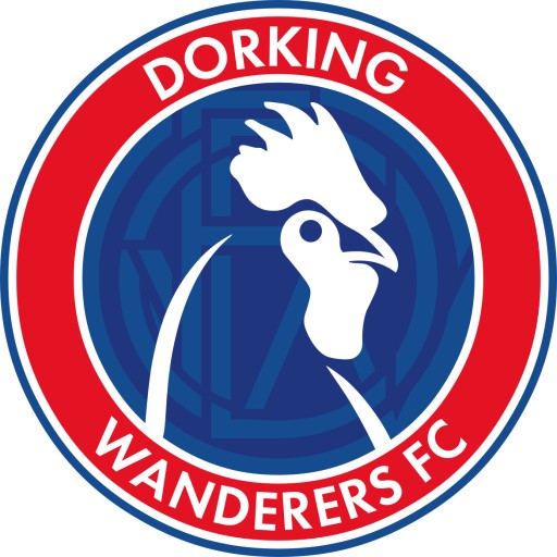 도킹 원더러스 FC 팀 로고