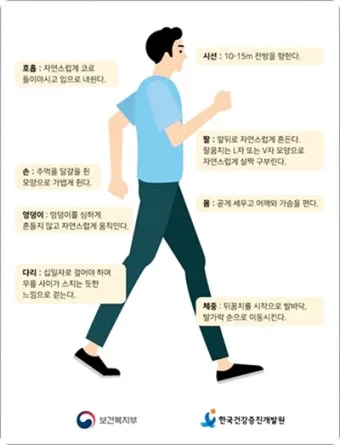 걷기 칼로리 계산기 걸음수 소비 칼로리_36