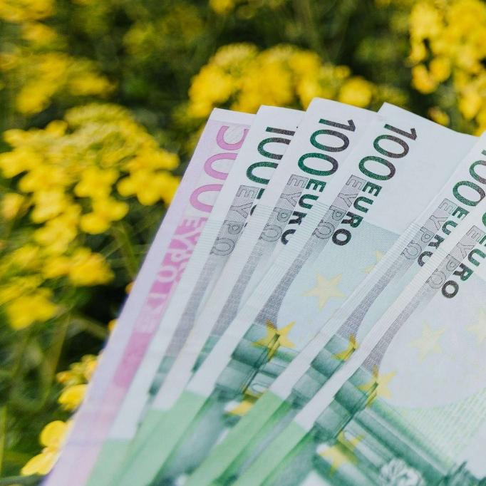 청년 월세 지원 신청 기간 놓쳤다면? 재신청 가능한 방법은?