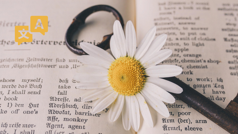 무료와 유료 번역기의 차이 요약 표