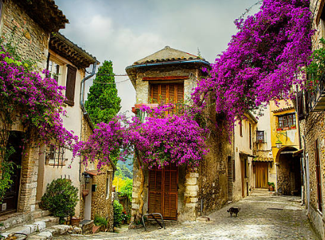 기차로 떠나는 로맨틱 유럽 여행