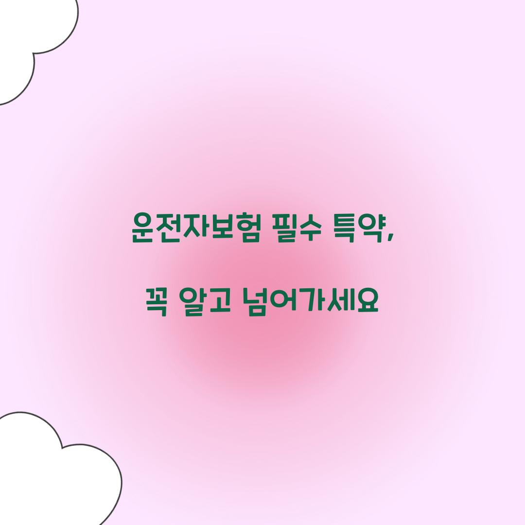 운전자보험 필수 특약