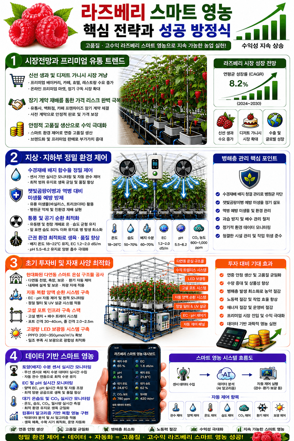 라즈베리 성공 방정식 인포그래픽