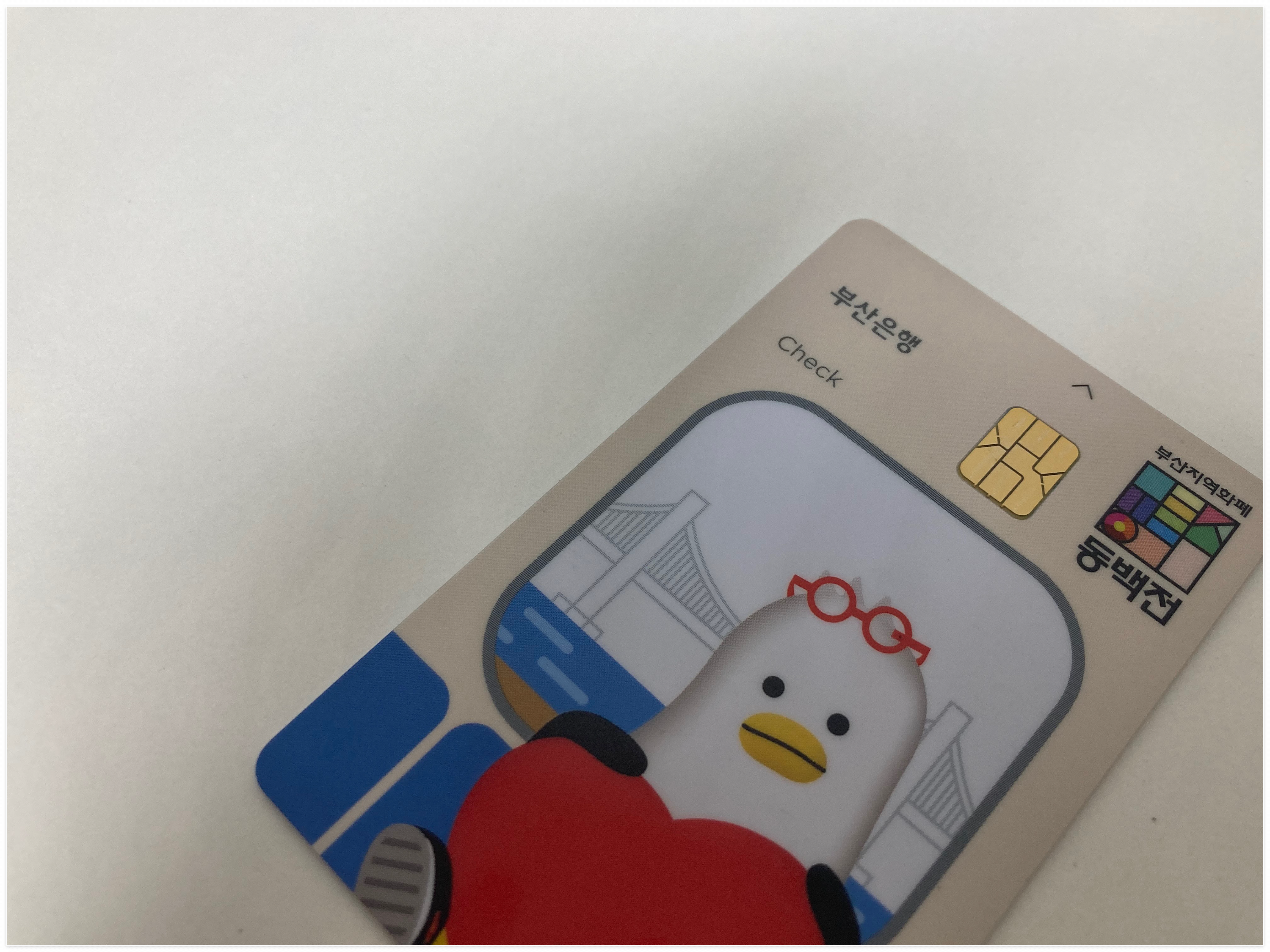 동백패스 카드 실물 사진