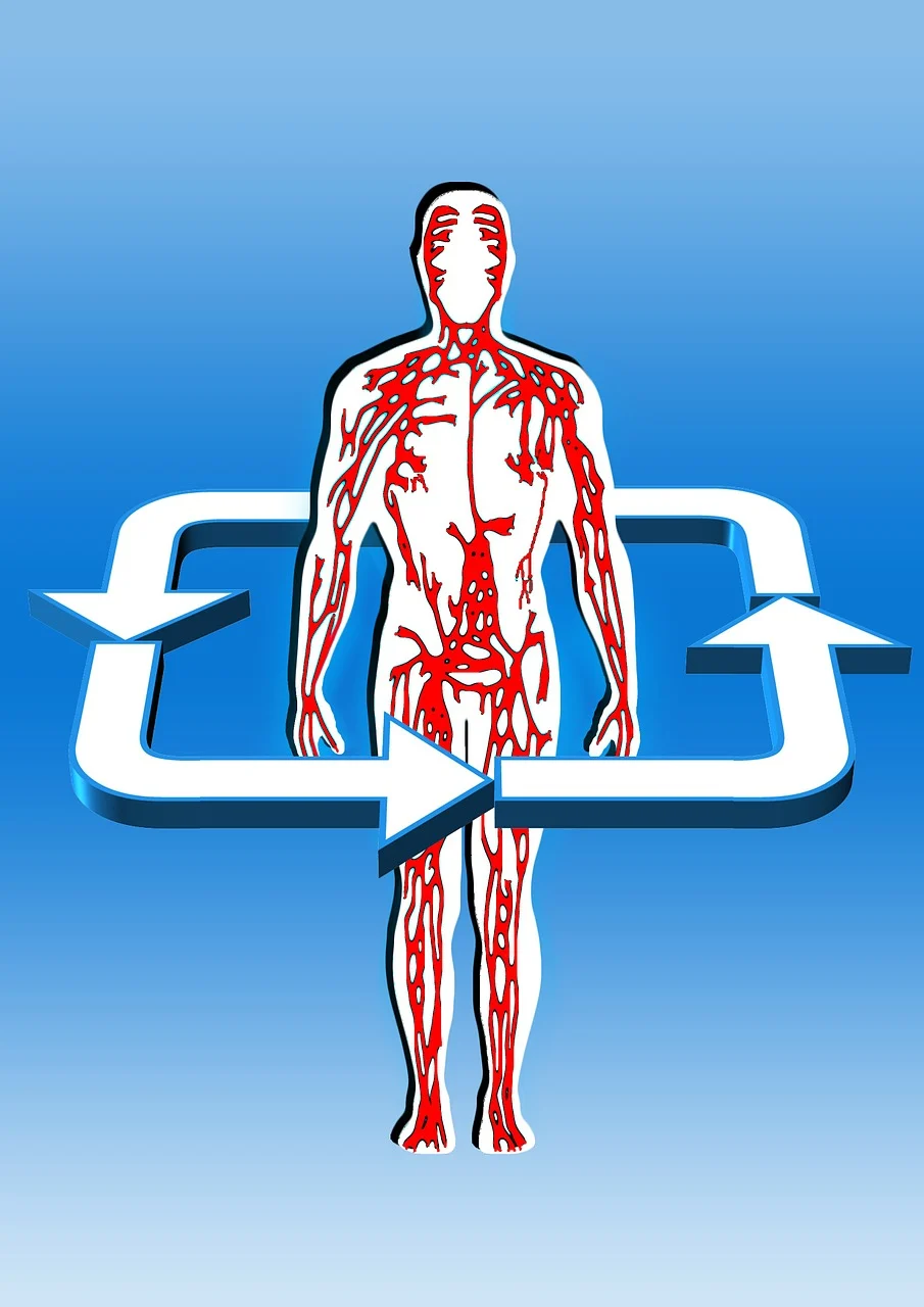 호르몬 밸런스를 위한 전신 순환 루틴