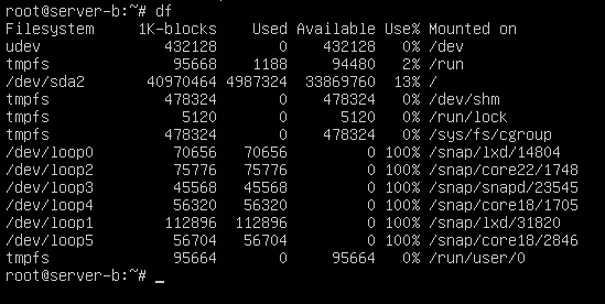 레이드 문제 발생과 조치 방법