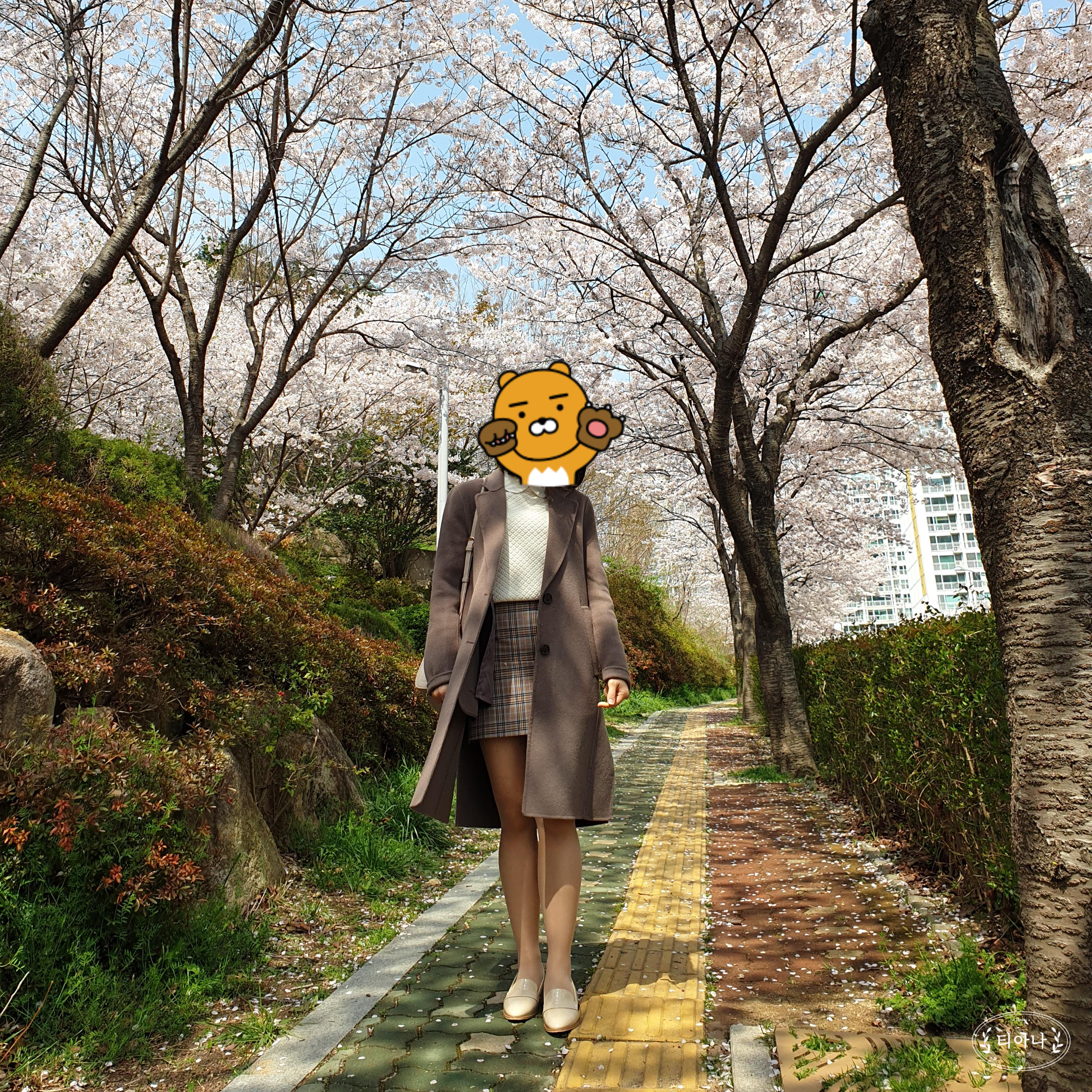 다이어트를 계속해서 성공하지 못하게 되는 &amp;#39;진짜&amp;#39; 이유