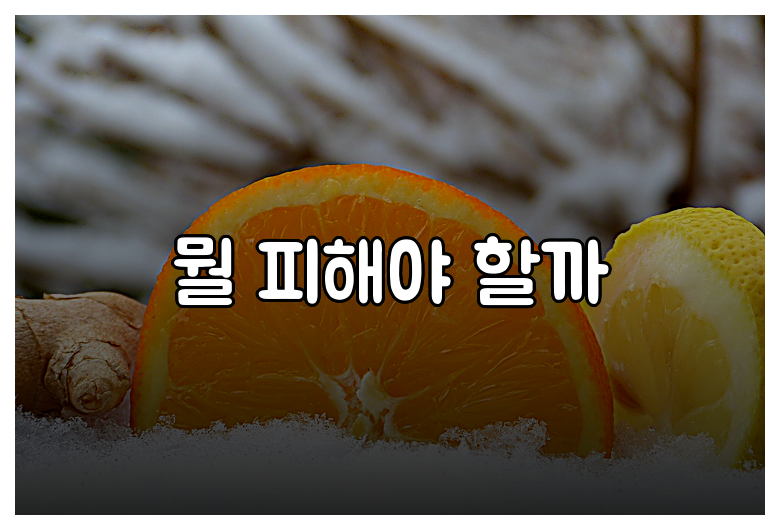 뭘 피해야 할까