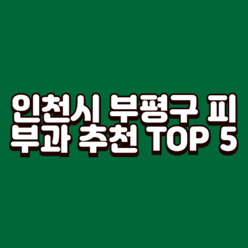인천시 부평구 피부과 추천 TOP 5