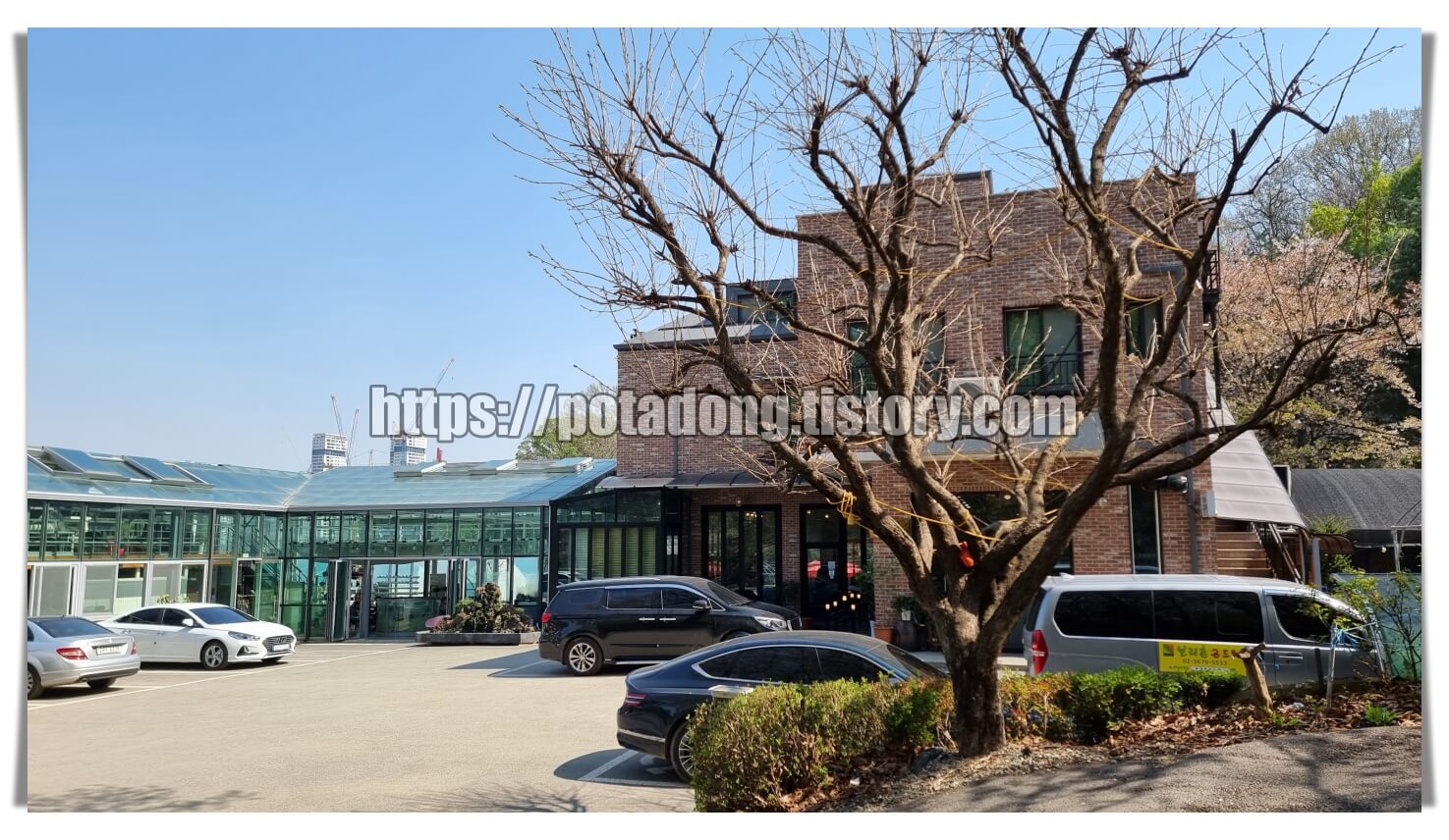 보리촌곤드레