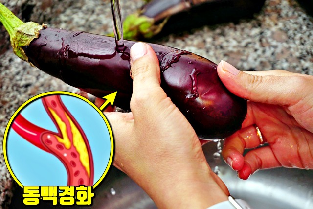가지 효능 여성 주부 갱년기 증상 좋은 식품 음식, 건강 팁줌