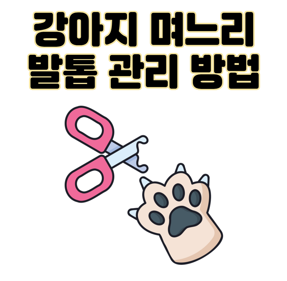 강아지 며느리발톱, 그냥 둬도 괜찮을까요? 관리, 제거, 수술 총정리