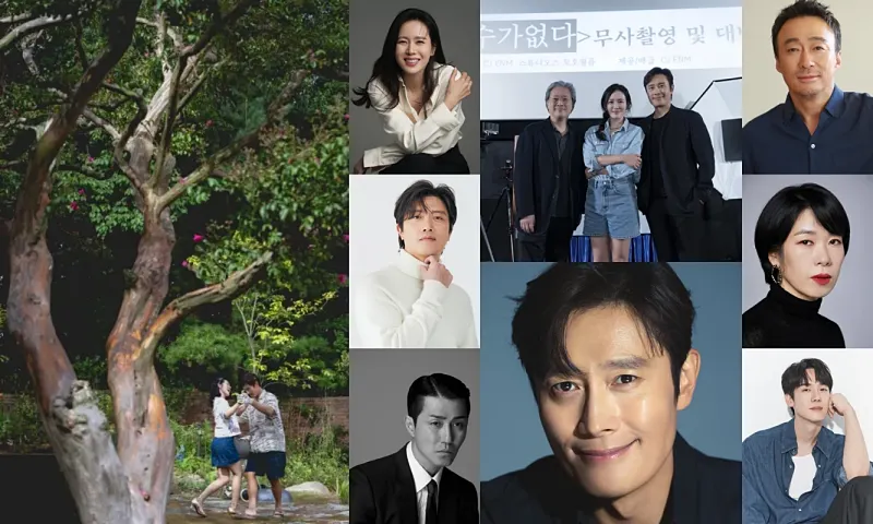 어쩔 수가 없다