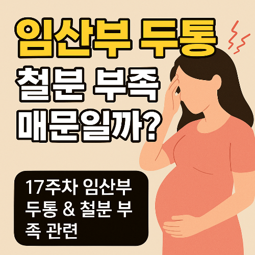 17주차 임산부 두통 &amp; 철분 부족 관련/해결법