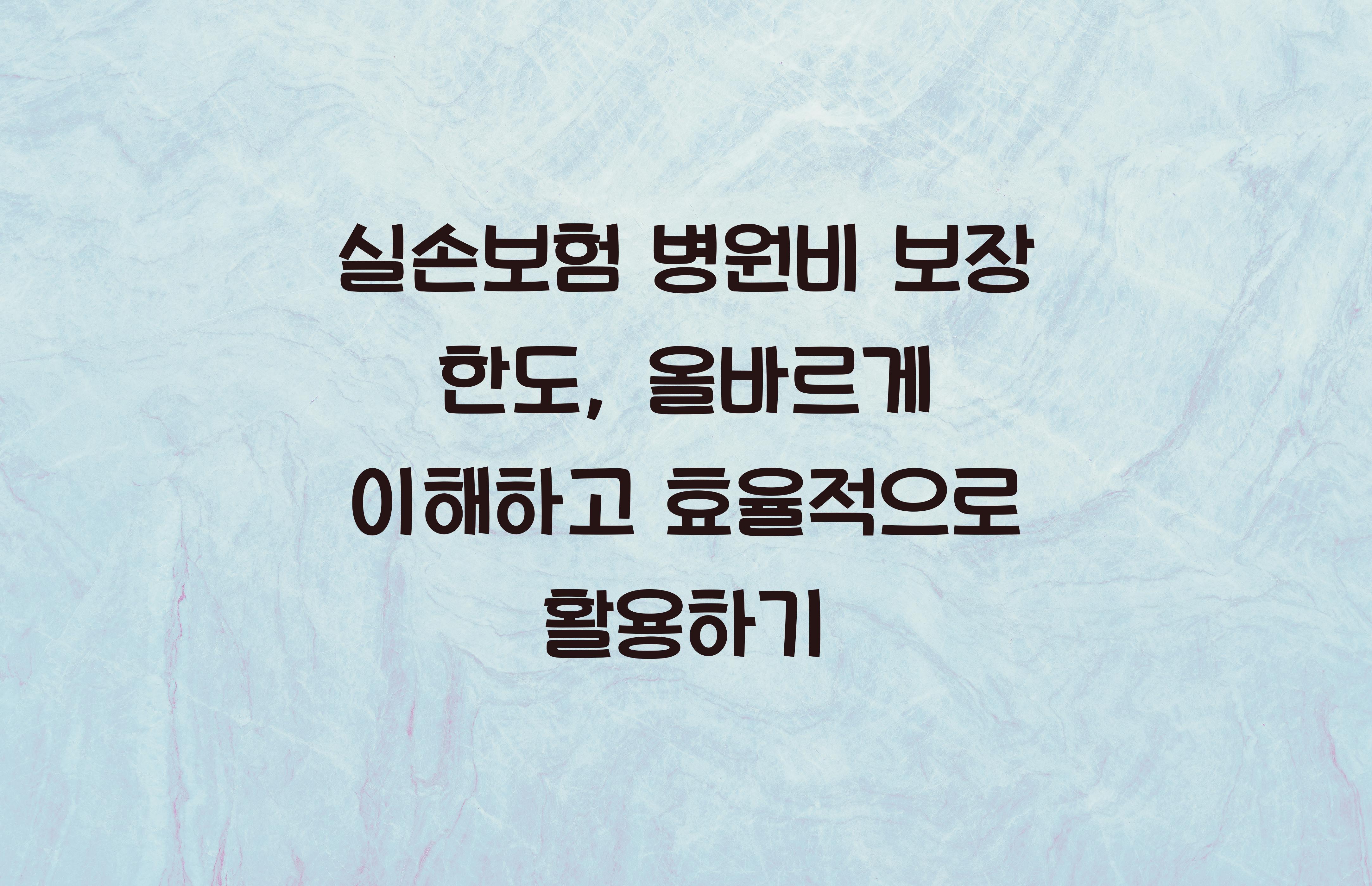 실손보험 병원비 보장 한도