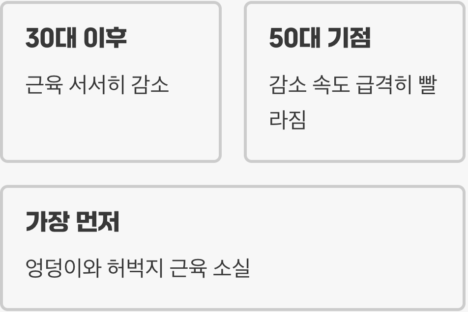 우리 몸의 '근육 창고'가 비어가는 이유
