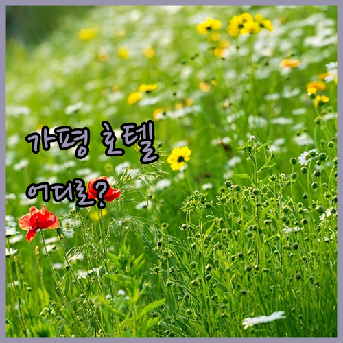 가평 호텔 어디로? 청결, 서비스, ..