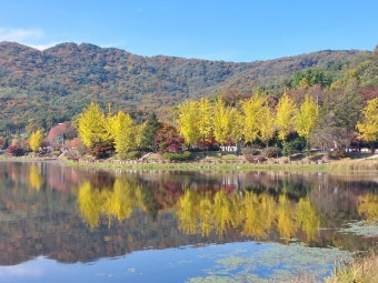 경기도 이천 설봉공원 사진