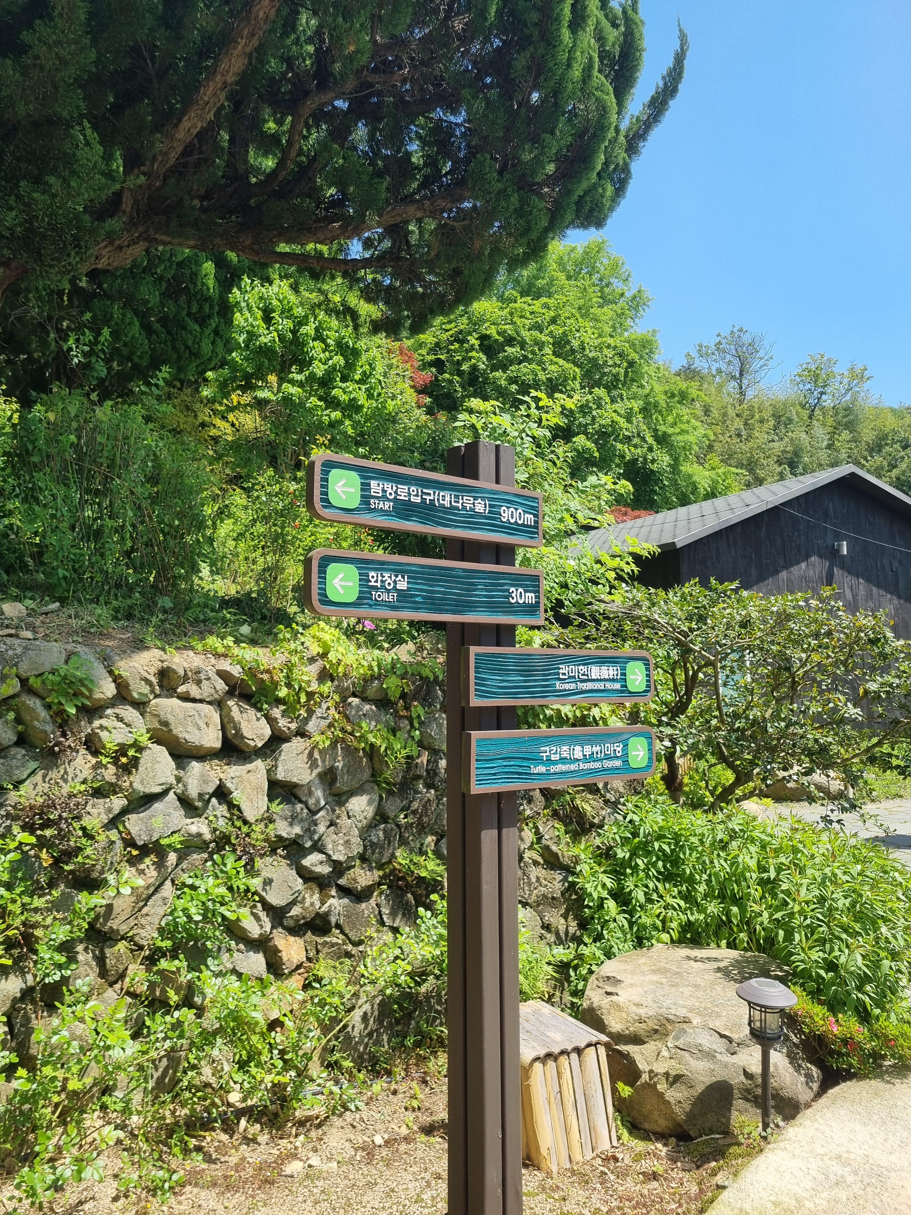 아홉산 숲
