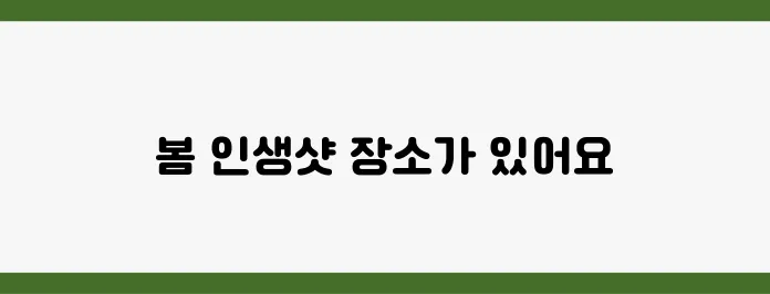 SNS 핫플 모음! 지금 떠나야 할 봄 인생샷 스팟 7곳