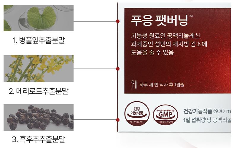 푸응-팻버닝-후기-특징