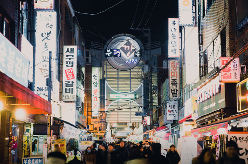 초여름 야시장 추천 BEST 7