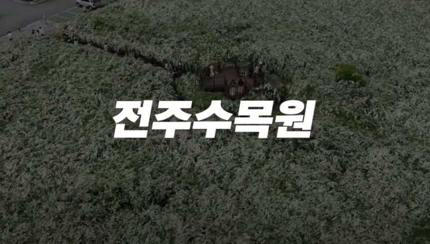 5월에 꼭 가봐야 할 적국 봄꽃 명소