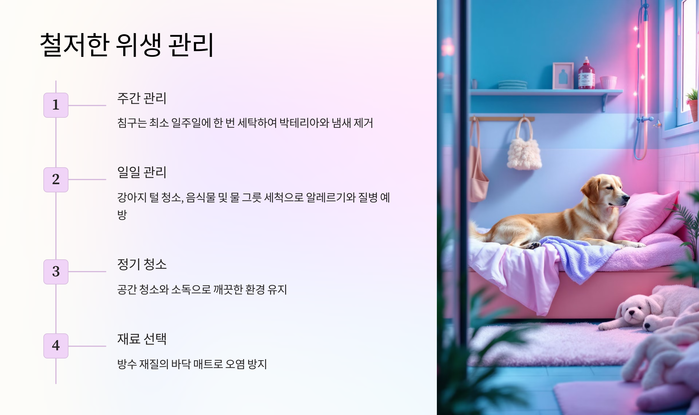 위생 관리 및 청결 유지