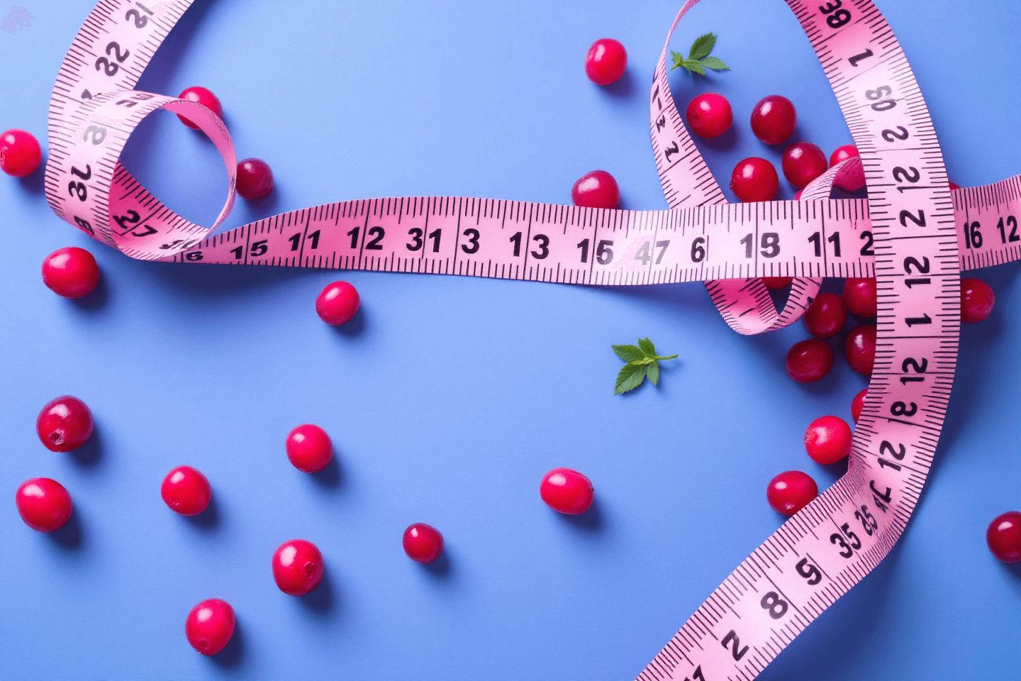 크랜베리 사진입니다.