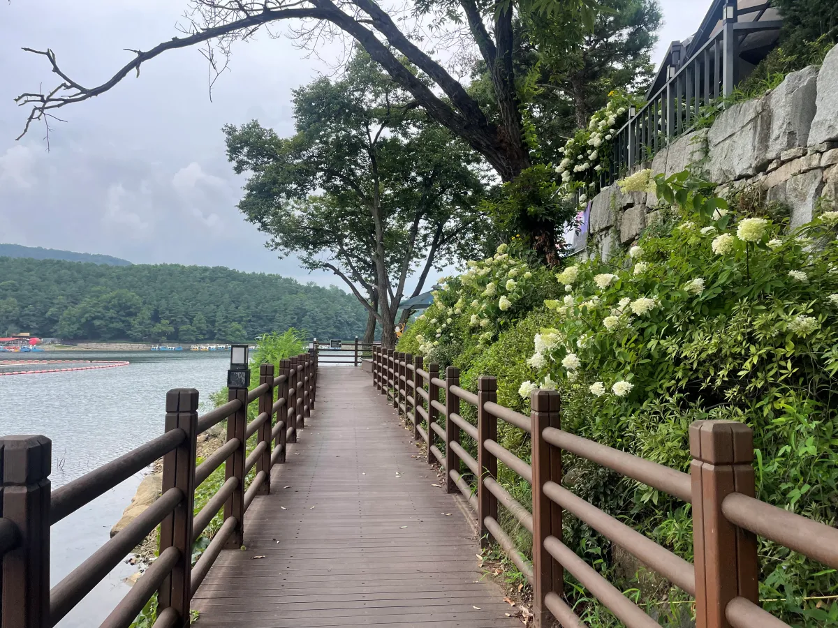 포천-국립수목원-근처-데크길에서-산책하기-좋은-고모리호수공원,-고모저수지