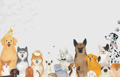 반려동물 등록제 등록방법 : 지금 바로 등록하면 과태료 면제!