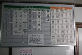 현풍 시외버스터미널 시간표 대구 예매 요금_18