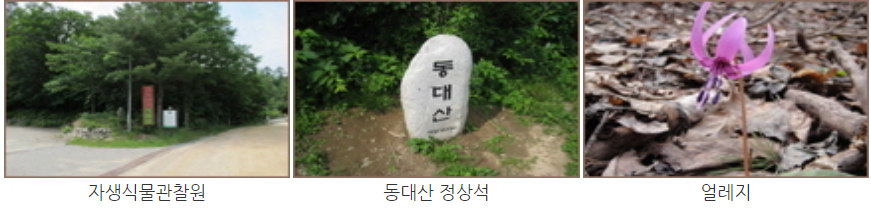 오대산 등산코스
