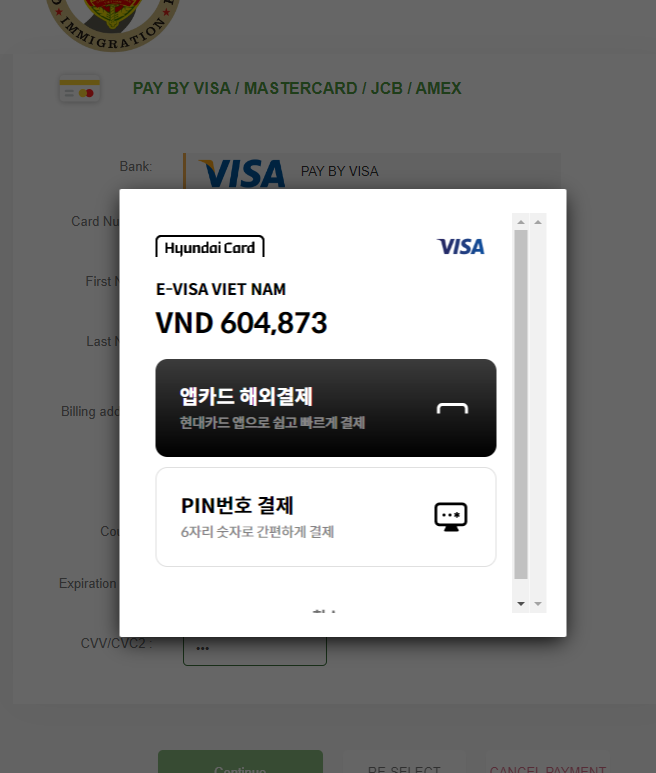 베트남 이비자 셀프신청