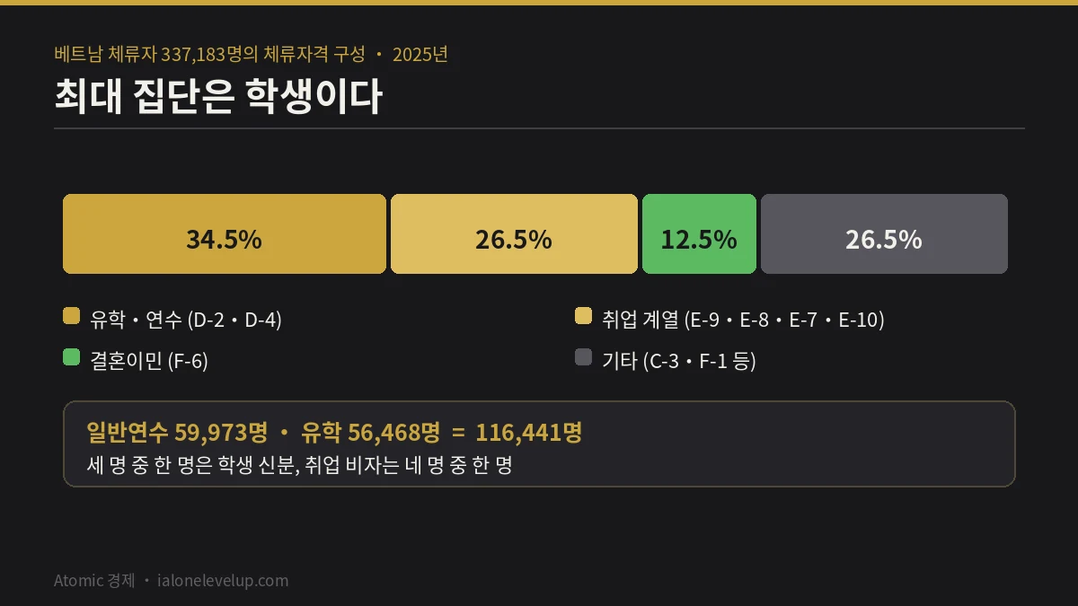 베트남 체류자 33만 7천 명 중 일반연수와 유학이 34.5퍼센트 취업 계열이 26.5퍼센트 결혼이민이 12.5퍼센트를 차지하는 구성 도표