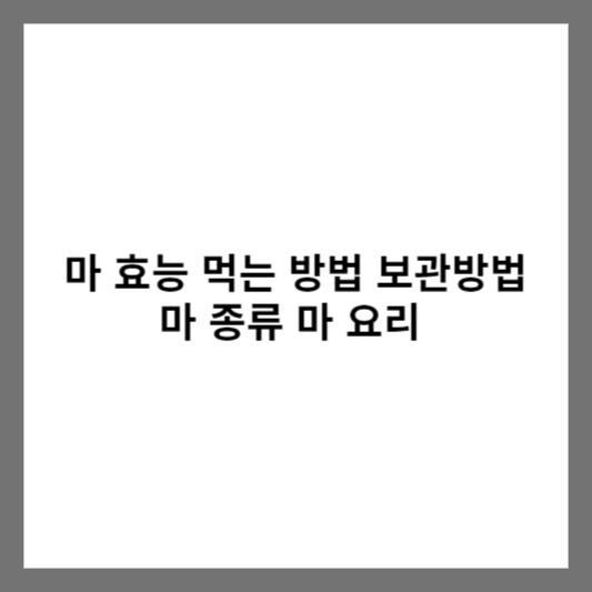 마 효능 먹는 방법 보관방법 마 종류 마 요리