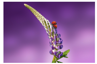 자연 속에서 보내는 느슨한 하루