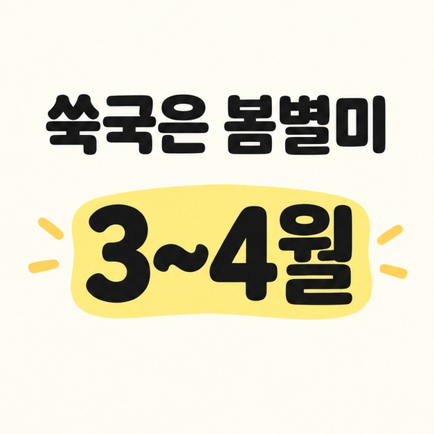 쑥국은 봄별미라는 문구와 노란색으로 강조된 3~4월 안내
