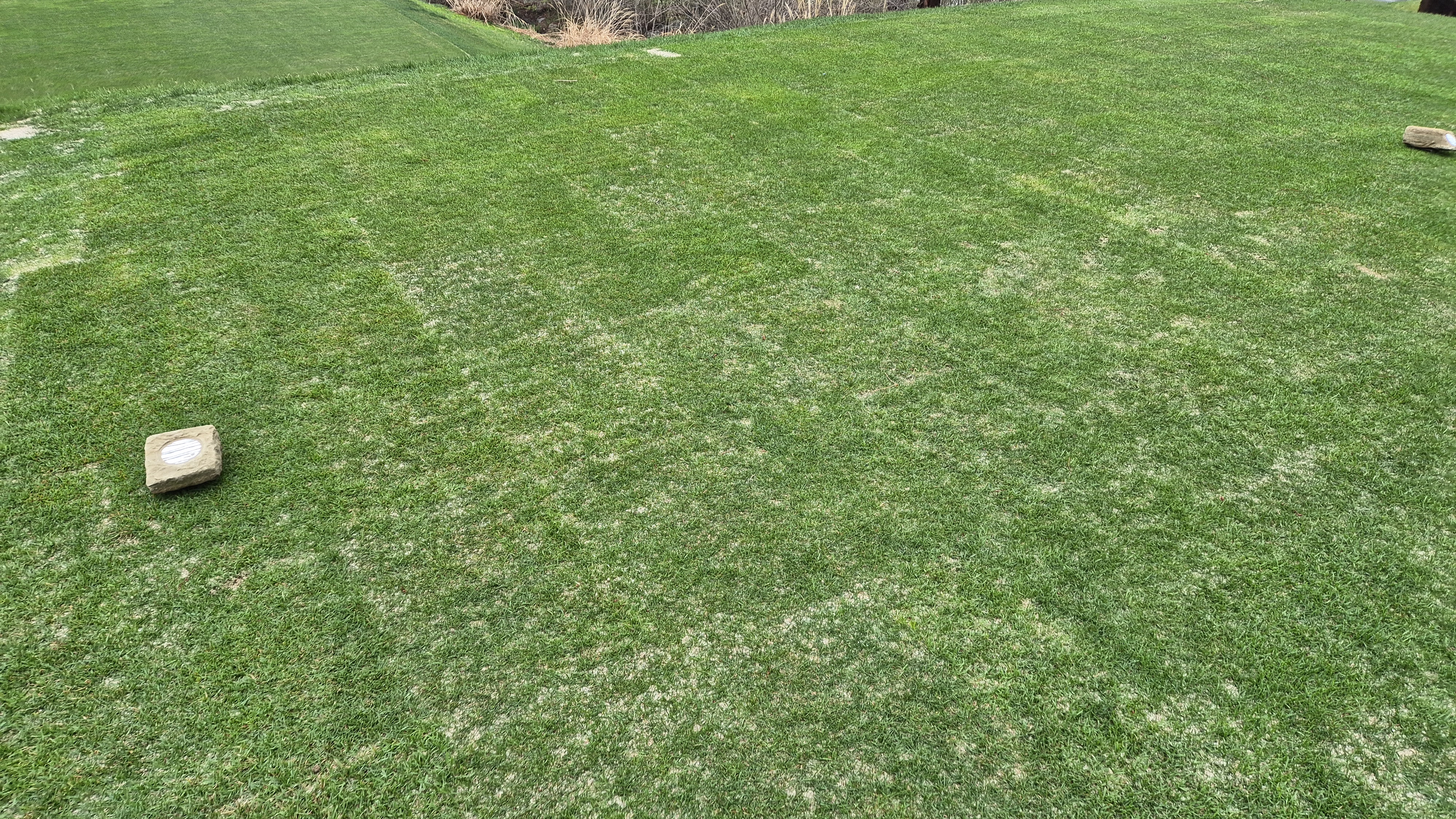 레인보우힐스cc 동-남 코스 티잉구역 상태