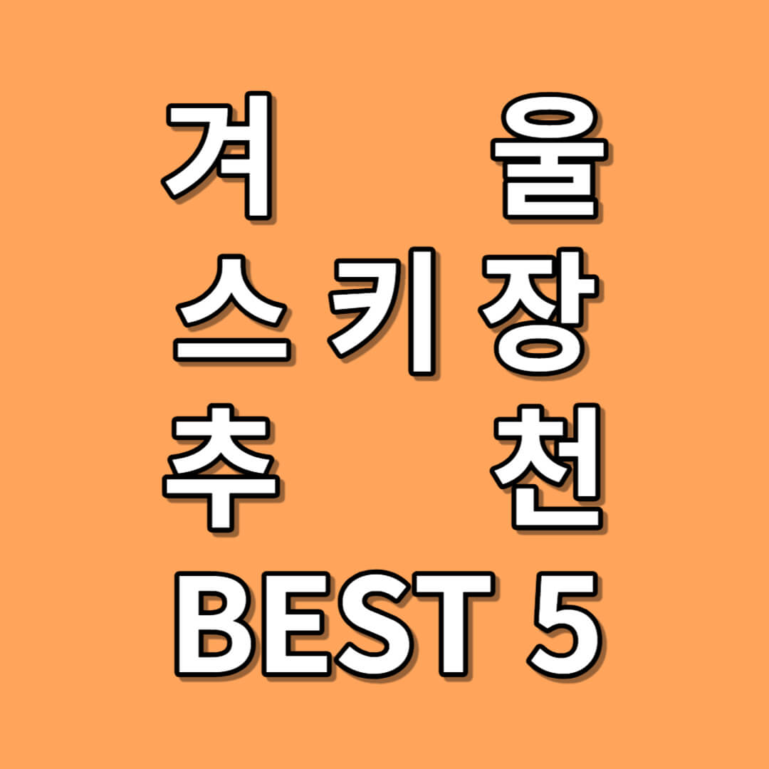 국내 스키장 BEST 5
