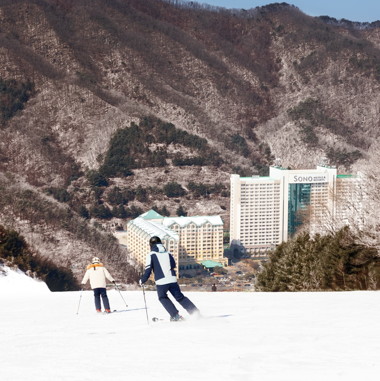 비발디파크 스키장