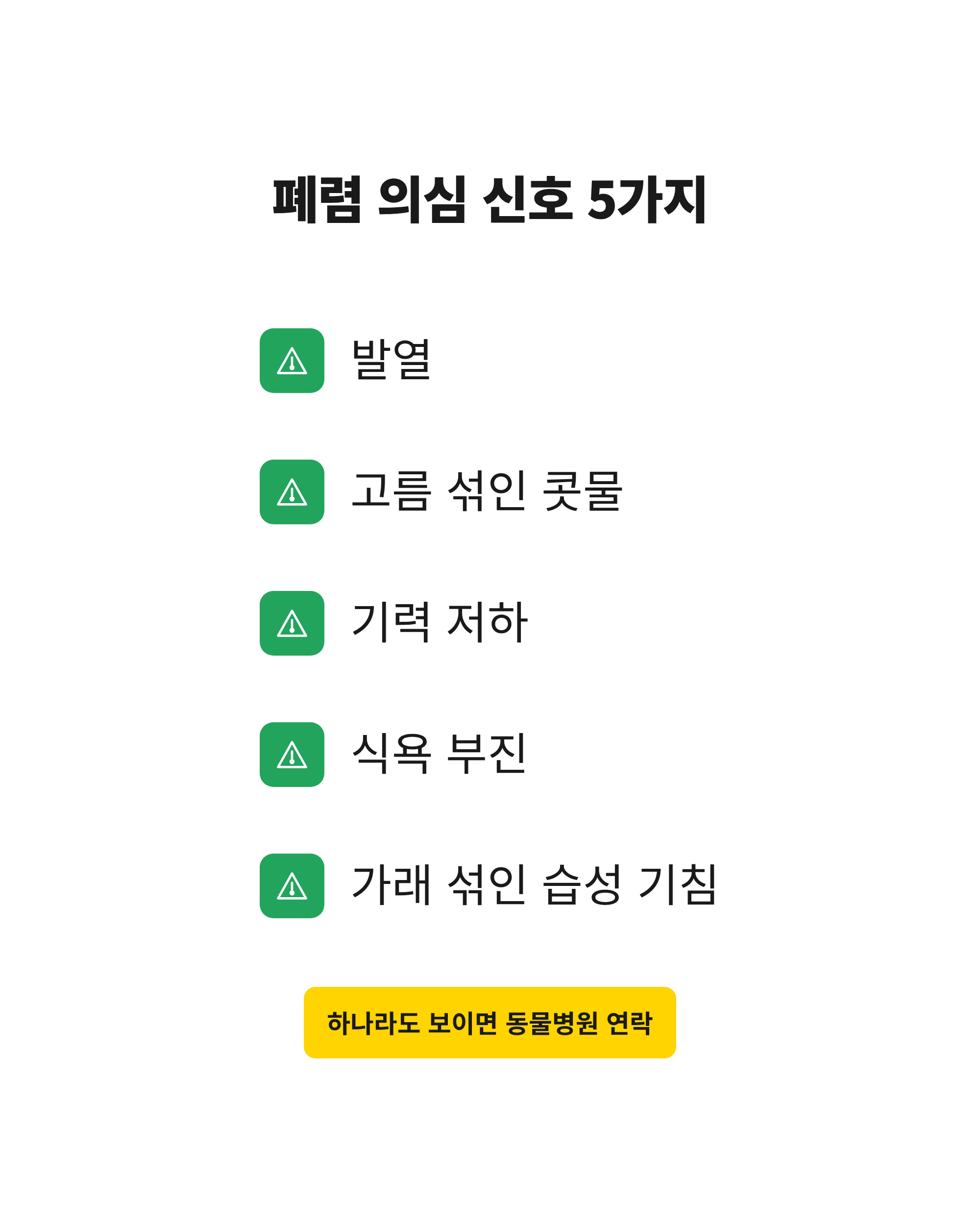 켄넬코프 강아지에게서 폐렴을 의심할 수 있는 다섯 가지 증상을 정리한 체크 목록