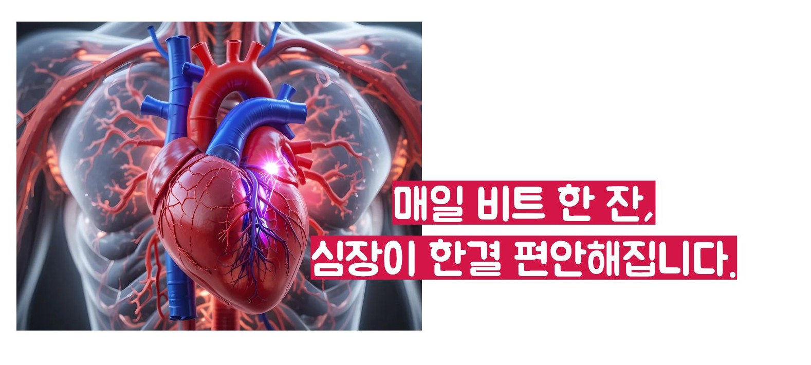 비트 효능
