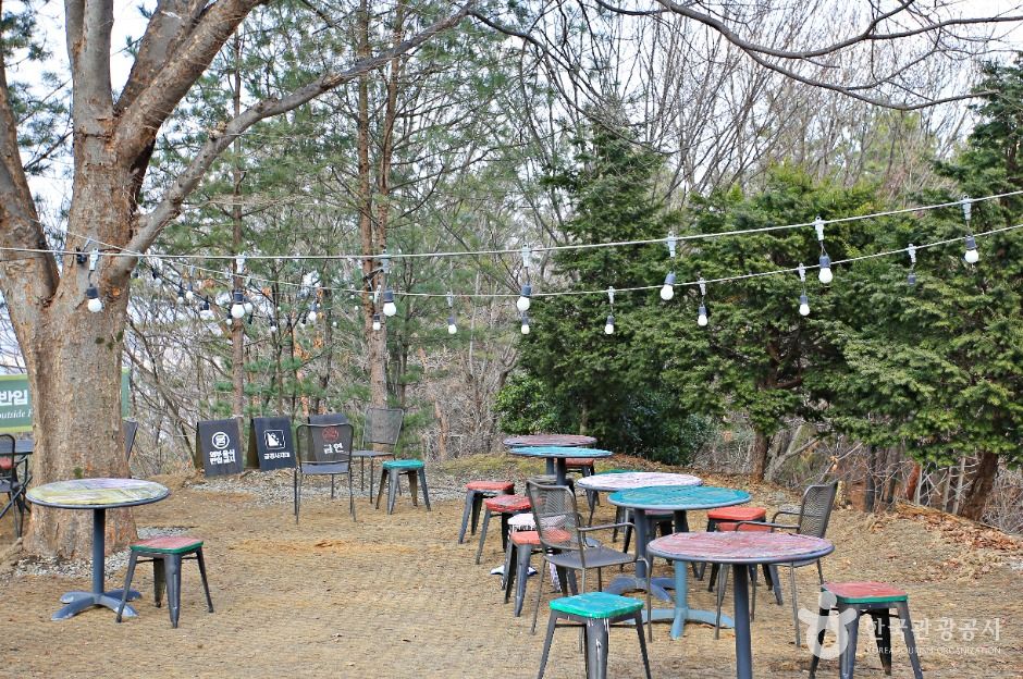 충주 가볼만한곳 베스트10