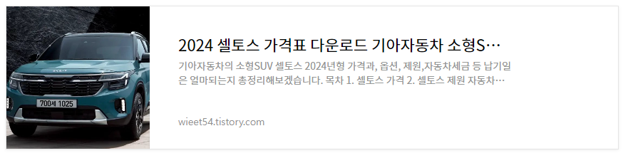 2024셀토스