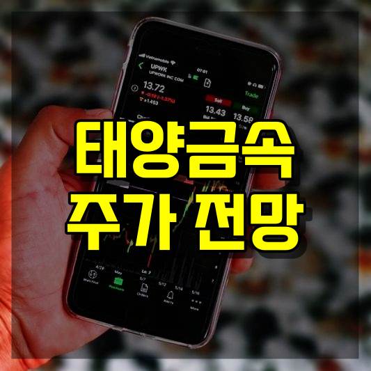 태양금속 주가 전망