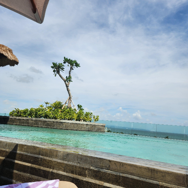 인피니티 수영장 중앙에 나무가 있다. 계단을 올라 수영장으로 들어가게 된다.