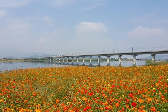 KTX로 떠나는 여행
