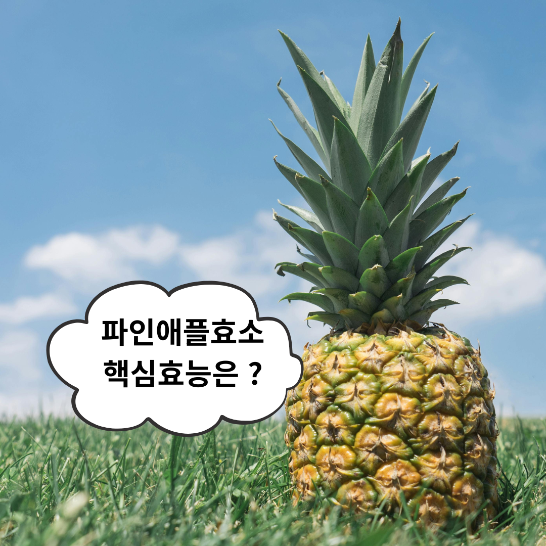소화를 돕고 염증을 줄여주는 파인애플 효소의 모든 것